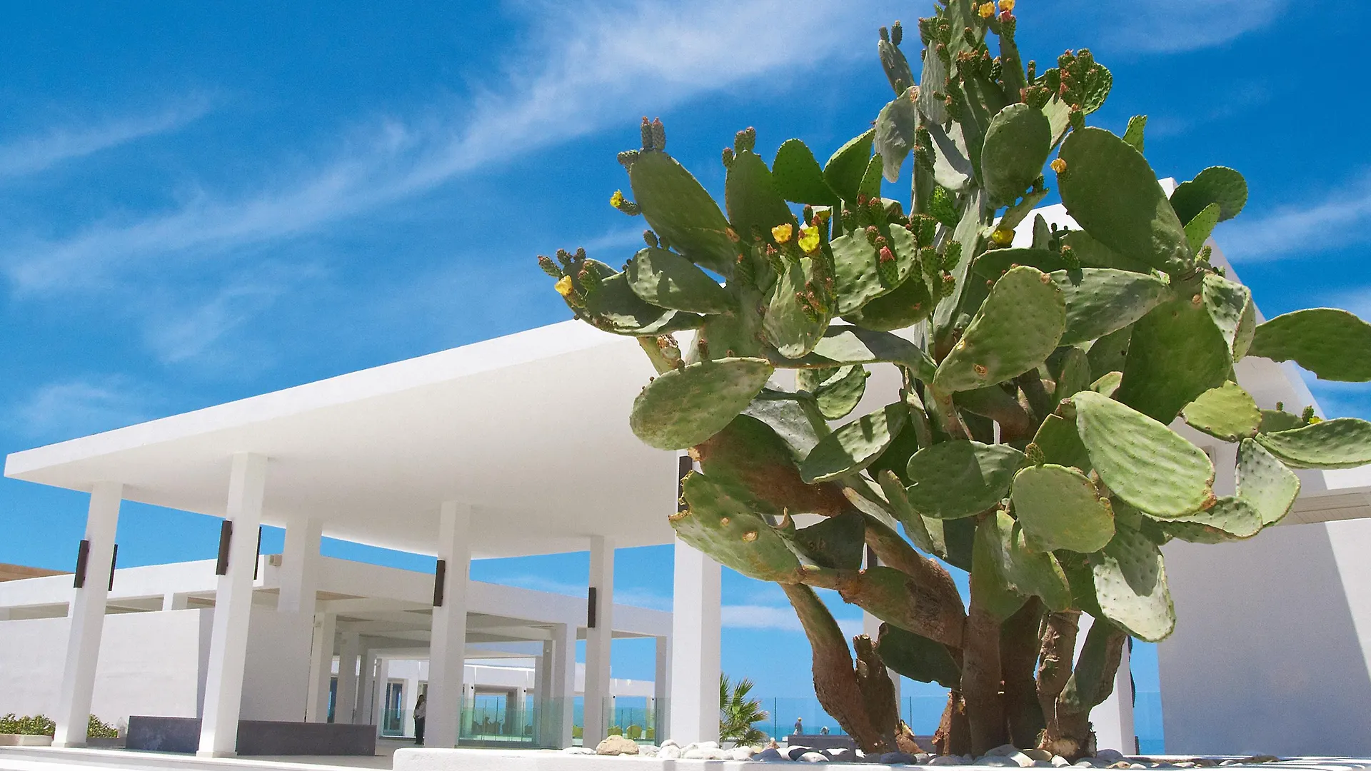 Grecotel Luxme White Rethymno 5*,